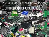 Микросхема S25FL116K0XNFA010