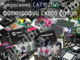 Микросхема CAT1021WI-30-GT3 