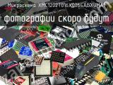 Микросхема XMC1202T016X0064ABXUMA1 