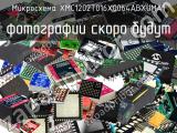 Микросхема XMC1202T016X0064ABXUMA1