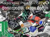 Микросхема PI6ULS5V9509WEX