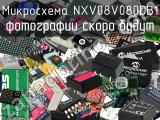 Микросхема NXV08V080DB1 