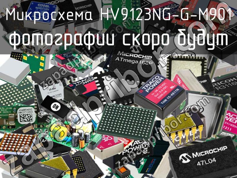 Микросхема HV9123NG-G-M901 фотография.