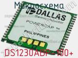 Микросхема DS1230ABP-100+ 