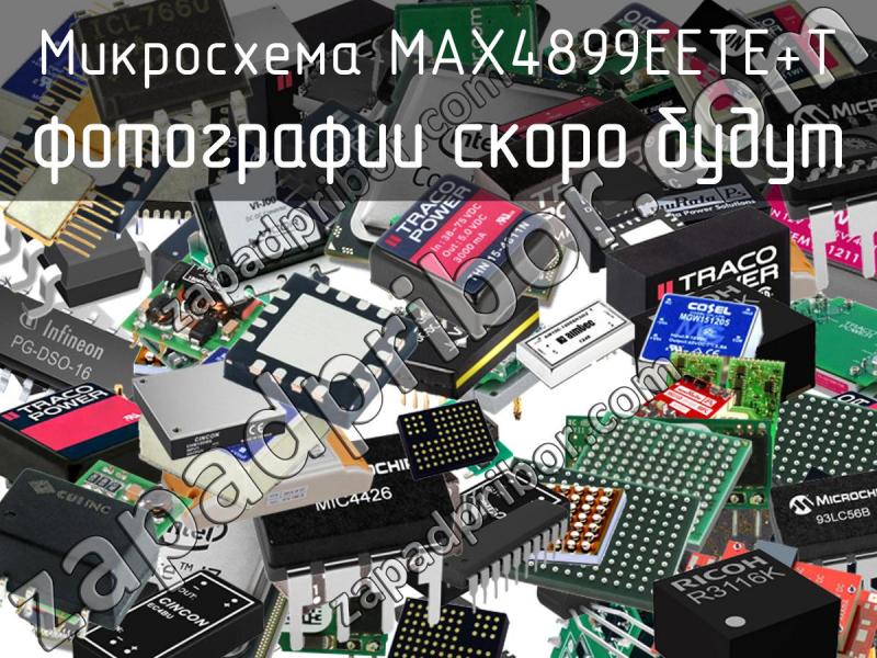 Микросхема MAX4899EETE+T фотография.