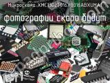 Микросхема XMC1302T016X0016ABXUMA1 