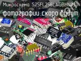 Микросхема S25FL256LAGBHN030 