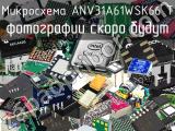 Микросхема ANV31A61WSK66 T 