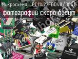 Микросхема LPC11U22FBD48/30QL