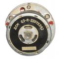 ДСМ 0,2-П-220УХЛ4.2 фотография двигателя.