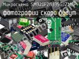 Микросхема SM320F28335GJZMEP 