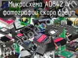 Микросхема AD842JN