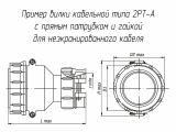 2РТ40П14НГ2-А чертеж кабельной вилки с прямым патрубком и гайкой для неэкранированного кабеля.