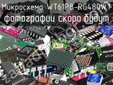 Микросхема WT61P8-RG480WT