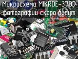 Микросхема MIKROE-3709 