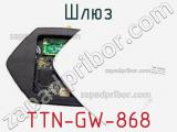 Шлюз TTN-GW-868 