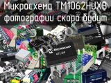 Микросхема TM1062HUXB 