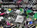 Микросхема SSM2537ACBZ-R7