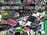 ZL30142GGG2