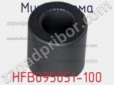 Микросхема HFB095051-100 
