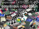 Микросхема CAT5112ZI-50-GT3 