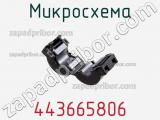 443665806