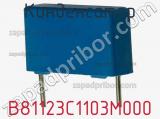 Конденсатор B81123C1103M000 фотография 2.