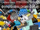 Конденсатор CC0402BRNPO9BN2R5 