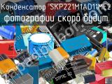 Конденсатор SKP221M1AD11ME2 