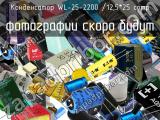 Конденсатор WL-25-2200 /12,5*25 comp 