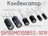 Конденсатор SH100M0100B5S-1019