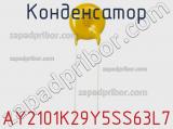 Конденсатор AY2101K29Y5SS63L7 фотография 2.