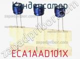 Конденсатор ECA1AAD101X фотография 3.