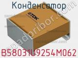 Конденсатор B58031U9254M062 фотография 3.