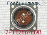 2РТТ28Б2Ш9В фотография 2 соединителя. 