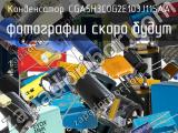 Конденсатор CGA5H3C0G2E103J115AA 