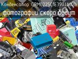 Конденсатор GRM0225C1E390JA02L