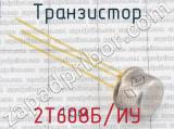 2Т608Б/ИУ фотография 2 транзистора. 