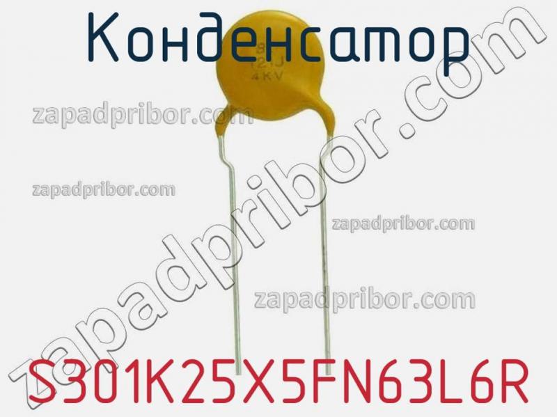 Конденсатор S301K25X5FN63L6R фотография.