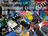 Конденсатор LNC2G392MSEG 