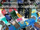 Конденсатор ECE-A1EN102UB 