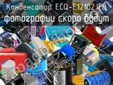 Конденсатор ECQ-E12102JFB 