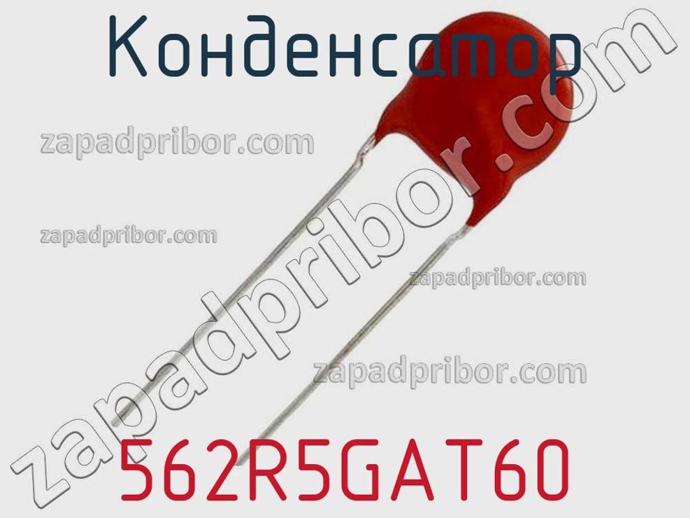 562R5GAT60 - Конденсатор - фотография. Увеличить. 562R5GAT60 - Конденсатор - фотография.