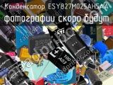 Конденсатор ESY827M025AH5AA