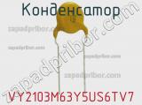  VY2103M63Y5US6TV7