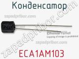 Конденсатор  ECA1AM103 фотография 2.