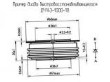 ДЧ143-1000-18 