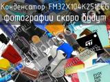 Конденсатор FM32X104K251EEG 