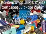 Конденсатор EHR101M2GB