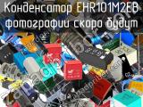 Конденсатор EHR101M2EB